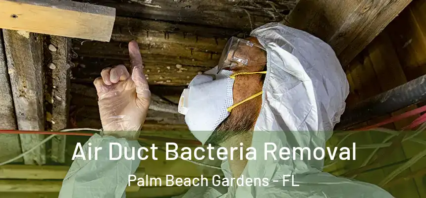 Air Duct Bacteria Removal Palm Beach Gardens - FL