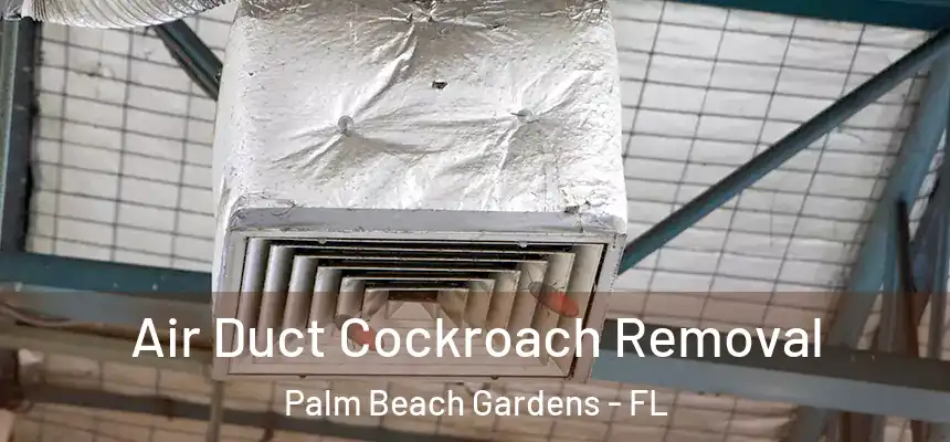 Air Duct Cockroach Removal Palm Beach Gardens - FL