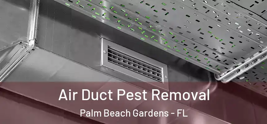 Air Duct Pest Removal Palm Beach Gardens - FL