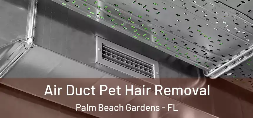 Air Duct Pet Hair Removal Palm Beach Gardens - FL