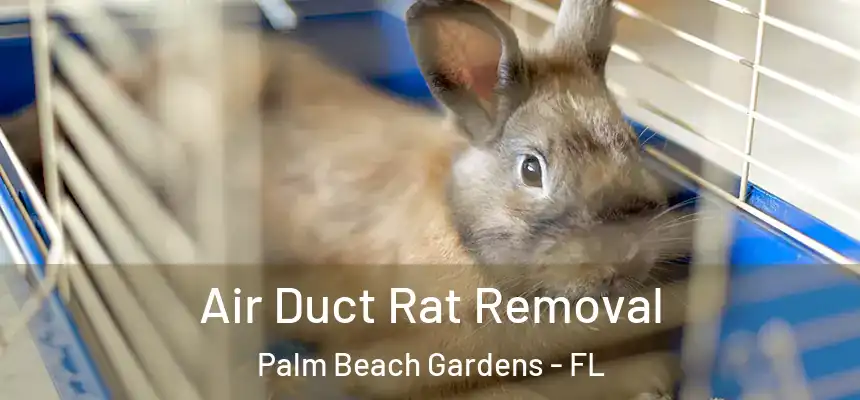 Air Duct Rat Removal Palm Beach Gardens - FL