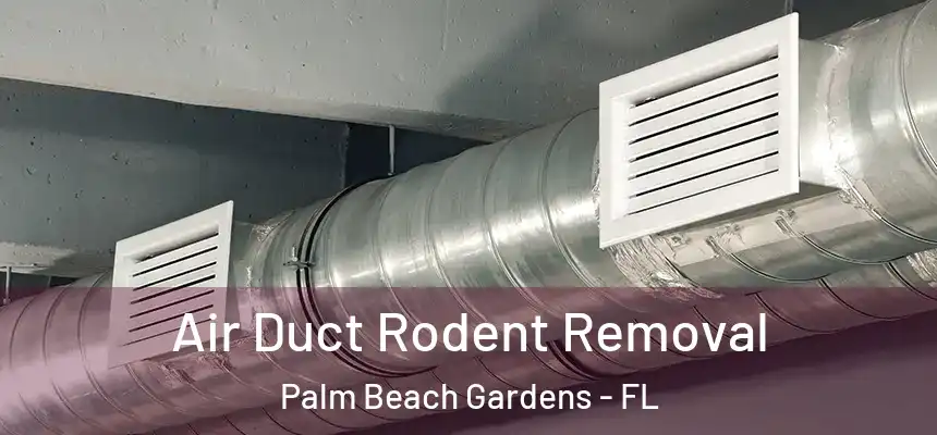 Air Duct Rodent Removal Palm Beach Gardens - FL