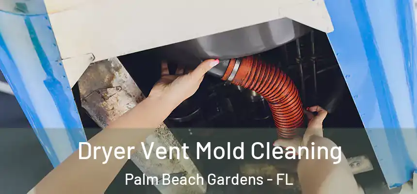 Dryer Vent Mold Cleaning Palm Beach Gardens - FL