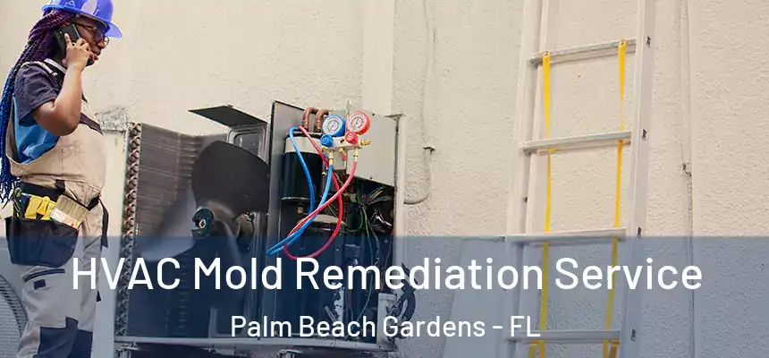 HVAC Mold Remediation Service Palm Beach Gardens - FL