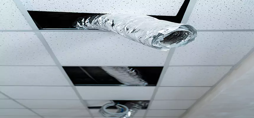 Affordable HVAC Sanitizing After Pest Removal in Palm Beach Gardens