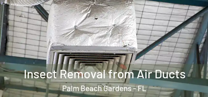 Insect Removal from Air Ducts Palm Beach Gardens - FL