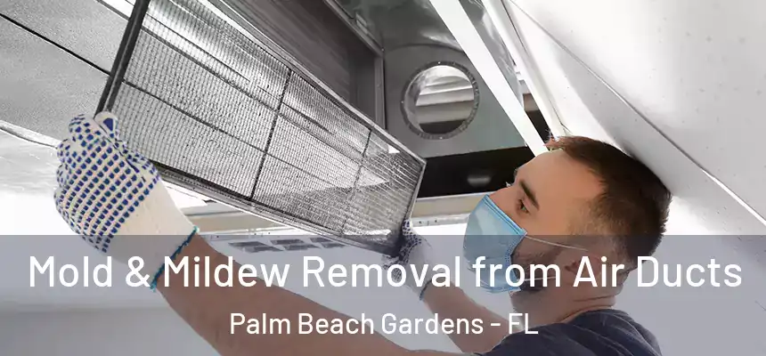 Mold & Mildew Removal from Air Ducts Palm Beach Gardens - FL