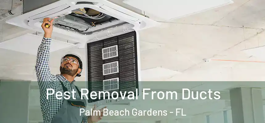 Pest Removal From Ducts Palm Beach Gardens - FL