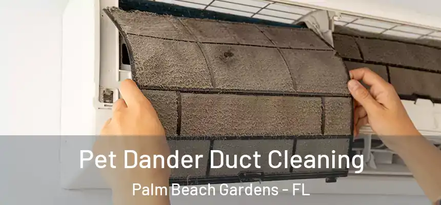 Pet Dander Duct Cleaning Palm Beach Gardens - FL