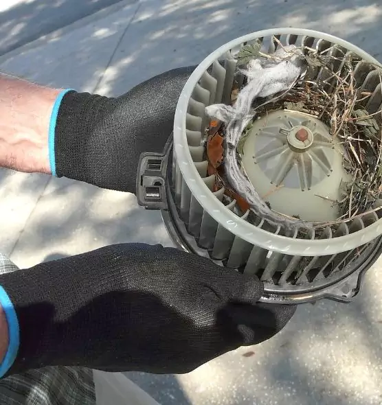About Air Duct Rat Removal in Palm Beach Gardens, FL