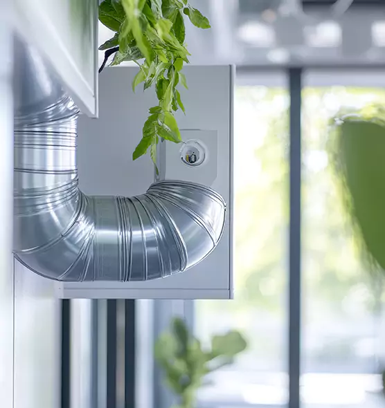 Professional Eco-Safe Dryer Vent Cleaning in Palm Beach Gardens, FL