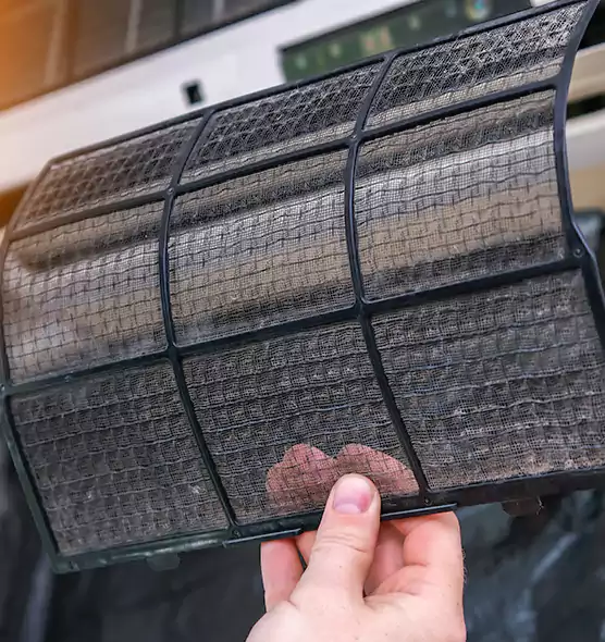 About Pet Dander Duct Cleaning in Palm Beach Gardens, FL